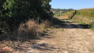 Terreno de 1600 m² em Coimbra