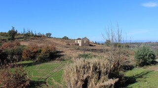 Land for sale in Tábua, Portugal — €70,000
