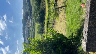 Land for sale in Penafiel, Portugal — €40,000
