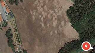 Land for sale in Anadia, Portugal — €350,000