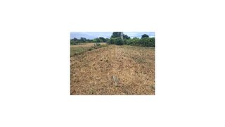 Terreno de 14 599 m² em Aveiro