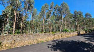 Land for sale in Santo Tirso, Portugal — €350,000