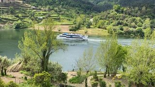 Land for sale in Marco de Canaveses, Portugal — €550,000