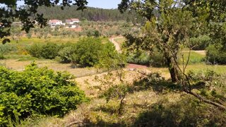 Land for sale in Penela, Portugal — €15,000