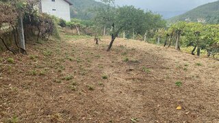Land for sale in Arouca, Portugal — €40,000