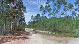 Land for sale in Anadia, Portugal — €24,000