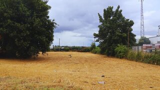 Land for sale in Paredes, Portugal — €320,000