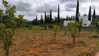 Land for sale in Oliveira de Azeméis, Portugal — €165,000