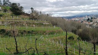 Land for sale in Amarante, Portugal — €38,980