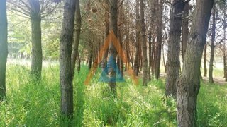 Land for sale in Ovar, Portugal — €82,000