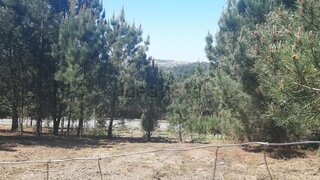 Land for sale in Oliveira de Azeméis, Portugal — €65,500