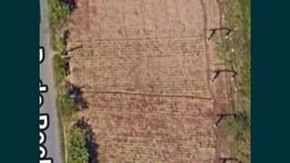 Land for sale in Vale de Cambra, Portugal — €75,000