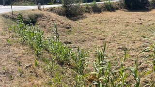 Land for sale in Figueira da Foz, Portugal — €80,000