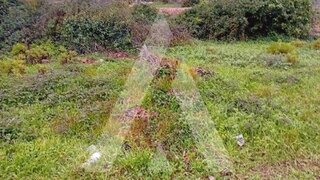 Land for sale in Anadia, Portugal — €17,000