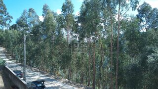 Land for sale in Castelo de Paiva, Portugal — €110,000