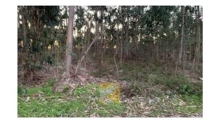 Land for sale in Anadia, Portugal — €9,000