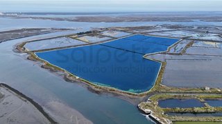 Terreno de 50 000 m² em Aveiro