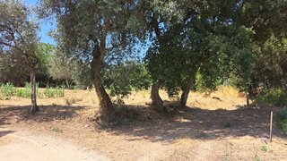 Land for sale in Águeda, Portugal — €65,000