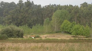 Land for sale in Vagos, Portugal — €80,000
