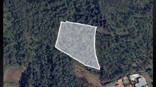 Land for sale in Oliveira de Azeméis, Portugal — €66,000