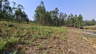 Land for sale in Oliveira de Azeméis, Portugal — €48,000