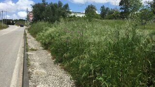Land for sale in Soure, Portugal — €40,000