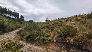 Terreno em Celorico de Basto