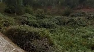 Land for sale in Paredes, Portugal — €420,000