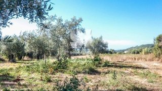 Land for sale in Lousã, Portugal — €45,000