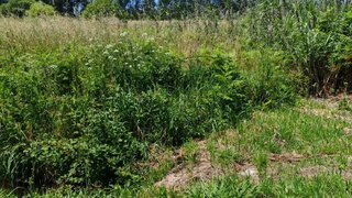 Land for sale in Montemor-o-Velho, Portugal — €18,766