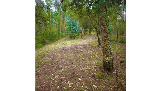 Terreno para venda em Caldas da Rainha, Portugal — 38 950 €