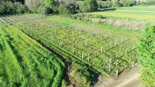 Land for sale in Barcelos, Portugal — €11,000