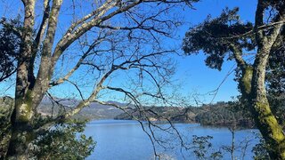 Land for sale in Sever do Vouga, Portugal — €180,000