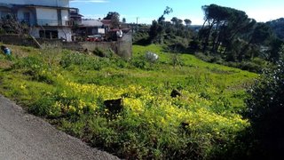 Terreno de 570 m² em Coimbra