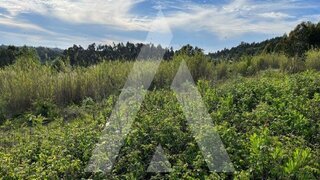 Land for sale in Oliveira do Bairro, Portugal — €75,000