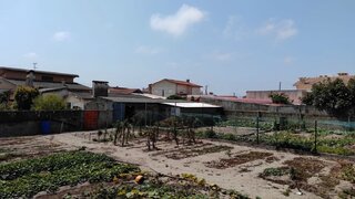 Land for sale in Ílhavo, Portugal — €105,000