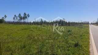 Land for sale in Albergaria-a-Velha, Portugal — €80,000
