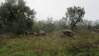 Land for sale in Penela, Portugal — €17,500