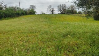 Land for sale in Penela, Portugal — €26,150