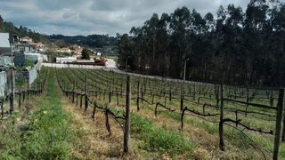 Land for sale in Vila Nova de Famalicão, Portugal — €389,000