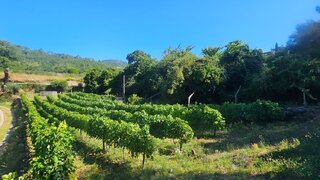 Land for sale in Baião, Portugal — €29,000