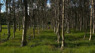Land for sale in Póvoa de Lanhoso, Portugal — €41,000