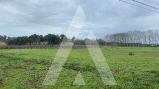 Land for sale in Anadia, Portugal — €80,000
