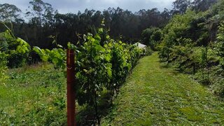 Land for sale in Vila Verde, Portugal — €30,000