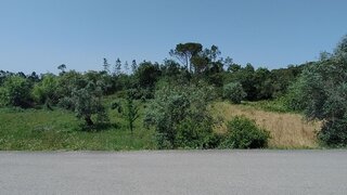 Land for sale in Cantanhede, Portugal — €40,000