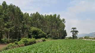 Land for sale in Esposende, Portugal — €440,000