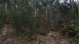 Terreno em Paços de Ferreira