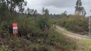 Terreno em Vila Nova de Poiares
