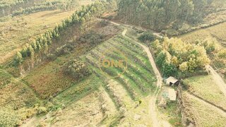 Land for sale in Santa Maria da Feira, Portugal — €100,000