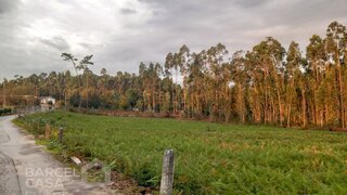 Land for sale in Barcelos, Portugal — €135,000